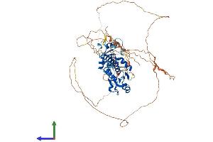 AlphaFold protein structure predicition of Mouse Recombinant Dusp8 Protein, UniprotID O09112