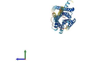 AlphaFold protein structure predicition of Mouse Recombinant Htr1f Protein, UniprotID Q02284