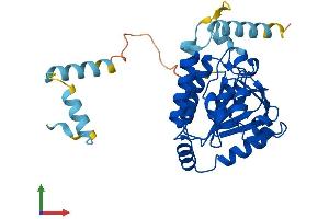 AlphaFold protein structure predicition of Mouse Recombinant Eci3 Protein, UniprotID Q78JN3 (Eci3 Protein (AA 1-317) (His tag))