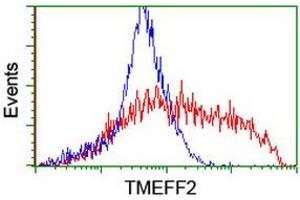 Image no. 2 for anti-Transmembrane Protein with EGF-Like and Two Follistatin-Like Domains 2 (TMEFF2) antibody (ABIN1501416) (TMEFF2 antibody)