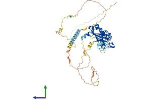 AlphaFold protein structure predicition of Human Recombinant RBM34 Protein, UniprotID P42696 (RBM34 Protein (AA 1-430) (His tag))