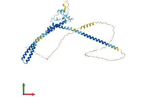 Protein Structure (PS) image for LUC7-Like 3 (LUC7L3) (AA 1-432) protein (His tag) (ABIN7557537)