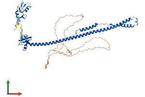 Protein Structure (PS) image for Tripartite Motif Containing 8 (TRIM8) (AA 1-551) protein (His tag) (ABIN7544592)