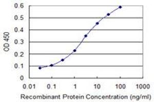 Detection limit for recombinant GST tagged CDX4 is 0. (CDX4 antibody  (AA 71-170))
