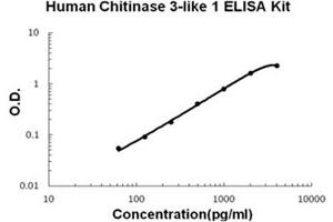 Human Chitinase 3-like 1/YKL-40 Accusignal ELISA Kit Human Chitinase 3-like 1/YKL-40 AccuSignal ELISA Kit standard curve. (Chitinase 3-Like 1/YKL-40 ELISA Kit)