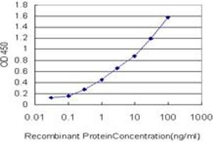 Detection limit for recombinant GST tagged MGC16169 is approximately 0. (TBCK antibody  (AA 601-700))
