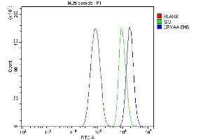 Flow Cytometry analysis of HepG2 cells using anti-Alpha A Crystallin antibody (ABIN7599031).