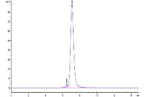 Size-exclusion chromatography-High Pressure Liquid Chromatography (SEC-HPLC) image for CD3E & CD3G (AA 22-117) protein (Fc Tag,Biotin) (ABIN7274133)