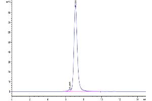 The purity of Biotinylated Cynomolgus CD3E&CD3G was greater than 95 % as determined by SEC-HPLC. (CD3E & CD3G (AA 22-117) protein (Fc Tag,Biotin))