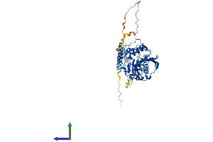 AlphaFold protein structure predicition of Mouse Recombinant B4galt1 Protein, UniprotID P15535 (B4GALT1 Protein (AA 1-399) (His tag))