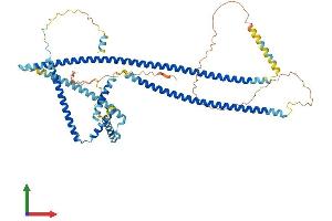 AlphaFold protein structure predicition of Human Recombinant CFAP100 Protein, UniprotID Q494V2