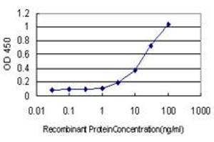 Detection limit for recombinant GST tagged TP53BP1 is approximately 0. (TP53BP1 antibody  (AA 1766-1874))