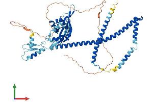 AlphaFold protein structure predicition of Mouse Recombinant Nup54 Protein, UniprotID Q8BTS4 (NUP54 Protein (AA 1-510) (His tag))