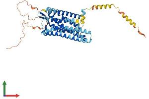 AlphaFold protein structure predicition of Human Recombinant OPRM1 Protein, UniprotID P35372 (Mu Opioid Receptor 1 Protein (AA 1-400) (His tag))