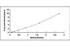 Typical standard curve (ENO2/NSE ELISA Kit)