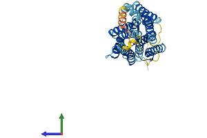Protein Structure (PS) image for Thromboxane A2 Receptor (TBXA2R) (AA 1-341) protein (His tag) (ABIN7563101)