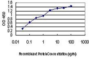 Detection limit for recombinant GST tagged GAK is approximately 0. (GAK antibody  (AA 151-250))