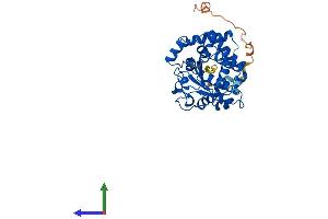 Protein Structure (PS) image for Tocopherol (Alpha) Transfer Protein-Like (TTPAL) (AA 1-343) protein (His tag) (ABIN7560947)
