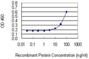 Detection limit for recombinant GST tagged FBXO5 is 3 ng/ml as a capture antibody. (FBXO5 antibody  (AA 358-446))