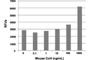 Human THP-1 cells were allowed to migrate to mouse Ccl4 (0, 0. (CCL4 Protein)