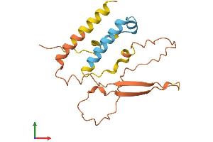 AlphaFold protein structure predicition of Human Recombinant KRBOX4 Protein, UniprotID Q5JUW0 (KRAB Box Domain Containing 4 (KRBOX4) (AA 1-171) protein (His tag))