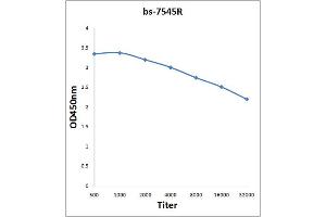 Antigen: 2 µg/100 µL  Primary: Antiserum, 1:500, 1:1000, 1:2000, 1:4000, 1:8000, 1:16000, 1:32000;  Secondary: HRP conjugated Rabbit Anti-Goat IgG at 1: 5000;  TMB staining Read the data in Microplate Reader by 450nm. (SCARB2 antibody  (AA 181-280))