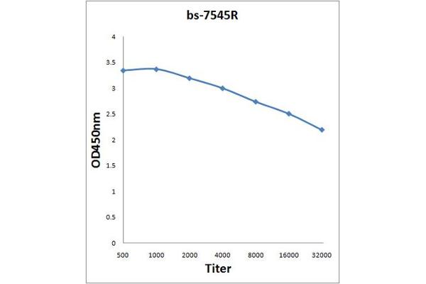 SCARB2 antibody  (AA 181-280)