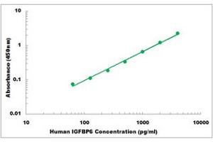 Representative Standard Curve (IGFBP6 ELISA Kit)