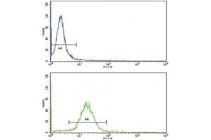 Flow Cytometry (FACS) image for anti-Wingless-Type MMTV Integration Site Family, Member 10B (WNT10B) (AA 193-222) antibody (ABIN3029625)