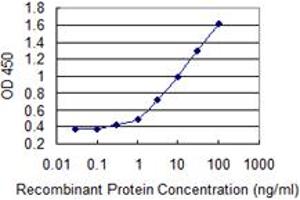 Detection limit for recombinant GST tagged APEX1 is 0. (APEX1 antibody  (AA 1-318))