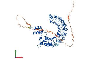 AlphaFold protein structure predicition of Human Recombinant FBXL16 Protein, UniprotID Q8N461