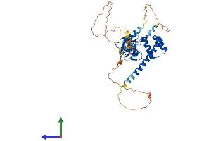 Protein Structure (PS) image for LIM Homeobox Transcription Factor 1, alpha (LMX1A) (AA 1-382) protein (His tag) (ABIN7549050)