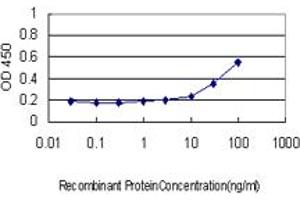 ELISA image for anti-Protein Kinase, AMP-Activated, beta 2 Non-Catalytic Subunit (PRKAB2) (AA 1-272) antibody (ABIN562365)