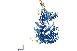 Protein Structure (PS) image for Integrator Complex Subunit 7 (INTS7) (AA 1-966) protein (His tag) (ABIN7564209)