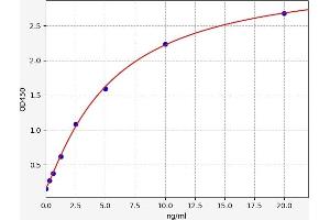 Typical standard curve (EIF2AK2 ELISA Kit)