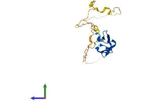 AlphaFold protein structure predicition of Mouse Recombinant Hspb8 Protein, UniprotID Q9JK92 (HSPB8 Protein (AA 1-196) (His tag))