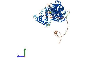 AlphaFold protein structure predicition of Human Recombinant STAT5A Protein, UniprotID P42229 (STAT5A Protein (AA 1-794) (His tag))