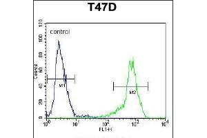 Flow cytometric analysis of T47D cells (right histogram) compared to a negative control cell (left histogram). (SIAH2 antibody  (AA 216-244))