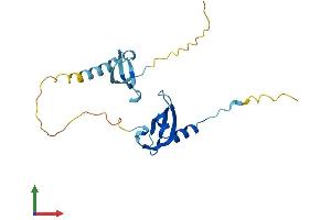 AlphaFold protein structure predicition of Human Recombinant CBX1 Protein, UniprotID P83916 (CBX1 Protein (AA 1-185) (His tag))