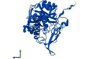 AlphaFold protein structure predicition of Human Recombinant GMPR Protein, UniprotID P36959