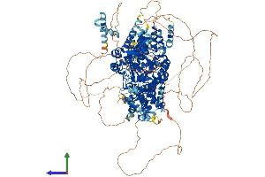 Protein Structure (PS) image for Lysine (K)-Specific Demethylase 6A (KDM6A) (AA 1-1401) protein (His tag) (ABIN7562560)