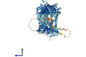 Protein Structure (PS) image for ATP-Binding Cassette, Sub-Family C (CFTR/MRP), Member 3 (ABCC3) (AA 1-1527) protein (His tag) (ABIN7554623)
