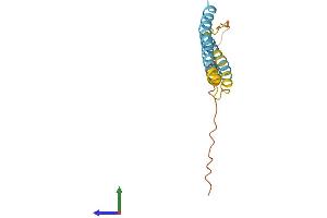 Protein Structure (PS) image for Interferon Induced Transmembrane Protein 2 (IFITM2) (AA 1-132) protein (His tag) (ABIN7554172)