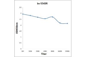 Antigen: 0. (PDPK1 antibody  (pTyr9))