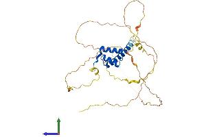 AlphaFold protein structure predicition of Mouse Recombinant Hoxc10 Protein, UniprotID P31257 (HOXC10 Protein (AA 1-342) (His tag))