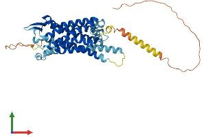 Protein Structure (PS) image for Tachykinin Receptor 1 (TACR1) (AA 1-407) protein (His tag) (ABIN7563089)