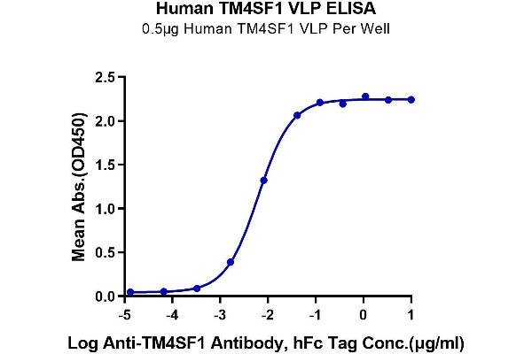 TM4SF1 Protein-VLP (AA 1-202)