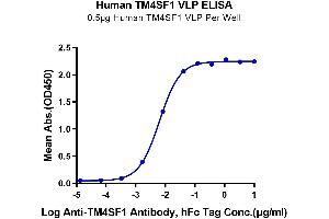 Immobilized Human TM4SF1 VLP at 5 μg/mL (100 μL/Well) on the plate. (TM4SF1 Protein-VLP (AA 1-202))