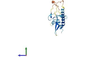 AlphaFold protein structure predicition of Human Recombinant SIVA1 Protein, UniprotID O15304 (SIVA1 Protein (AA 1-175) (His tag))