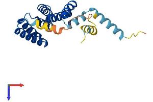 Protein Structure (PS) image for Tetratricopeptide Repeat Domain 36 (TTC36) (AA 1-189) protein (His tag) (ABIN7544907)